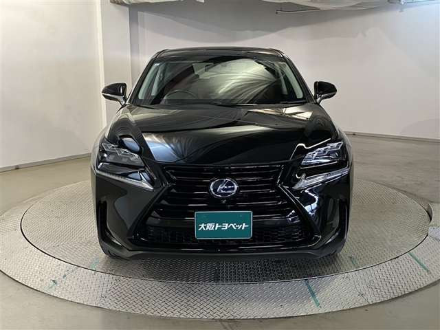 NX300h アーバンスタイル