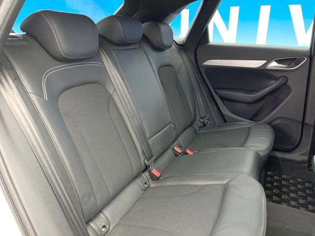 ���㕔���Ȃ��C�ɂȂ�悤�ȃL�Y�E�����ւ��蓙�A�傫�ȃ_���[�W�͂Ȃ��A�ǍD�ȏ�Ԃł��B