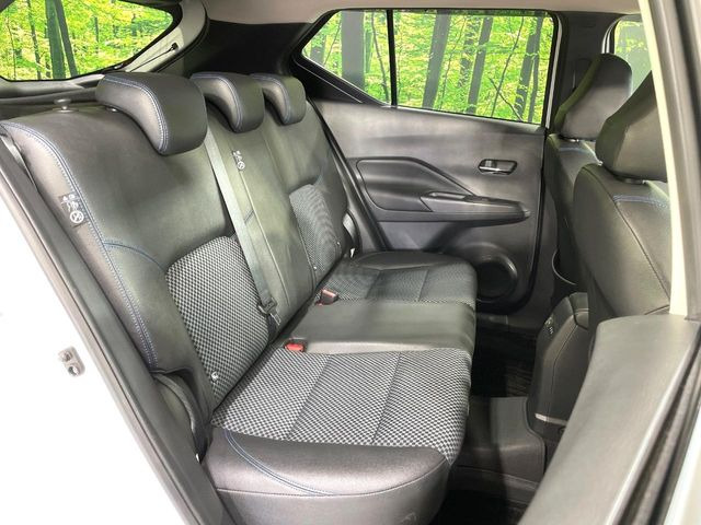 �㕔���Ȃ��C�ɂȂ�悤�ȃL�Y�E�����ւ��蓙�A�傫�ȃ_���[�W�͂Ȃ��A�ǍD�ȏ�Ԃł��B