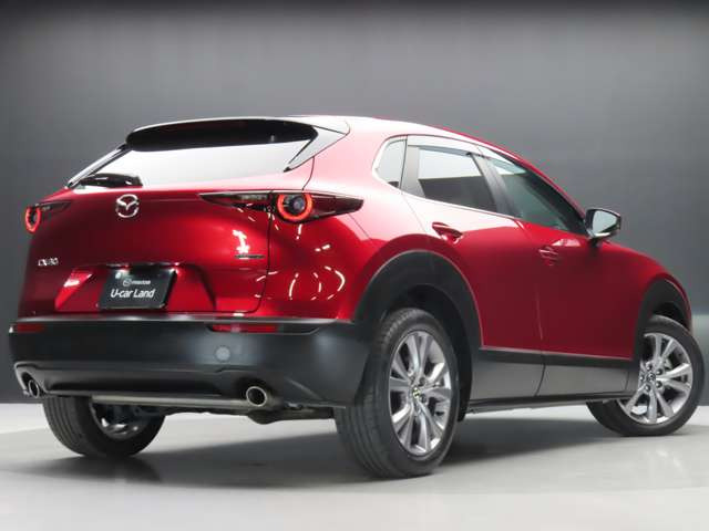 CX-302.0 20S