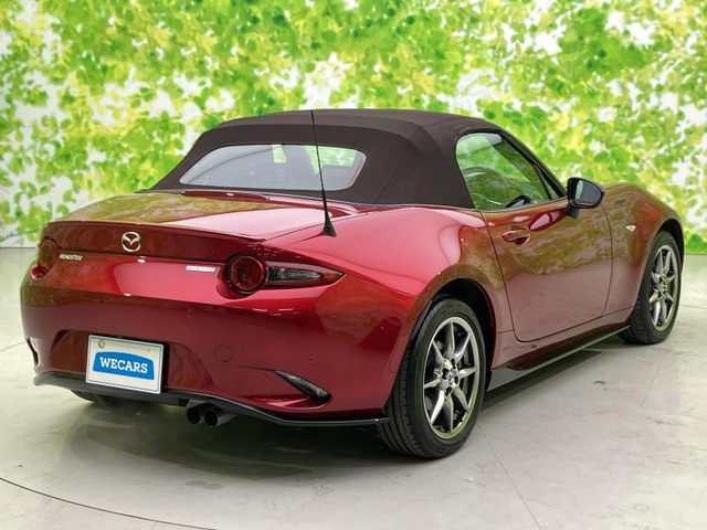 ロードスター1.5 ブラウン トップ