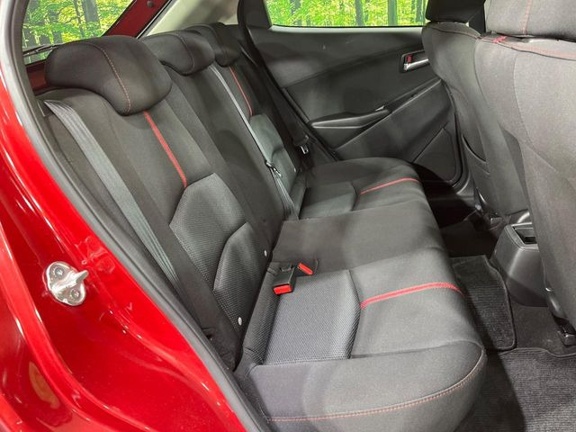 �㕔���Ȃ��C�ɂȂ�悤�ȃL�Y�E�����ւ��蓙�A�傫�ȃ_���[�W�͂Ȃ��A�ǍD�ȏ�Ԃł��B