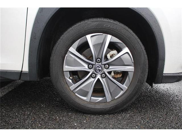 ���Ǝҗl�ւ̔̔��͂��f�肳���Ă��������܂��B�Ԍ������ԗ��̏ꍇ�́A�Ԍ����擾�������x�������z�ŕ\�����Ă���܂��B