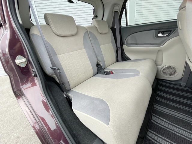 �㕔���Ȃ��C�ɂȂ�悤�ȃL�Y�E�����ւ��蓙�A�傫�ȃ_���[�W�͂Ȃ��A�ǍD�ȏ�Ԃł��B