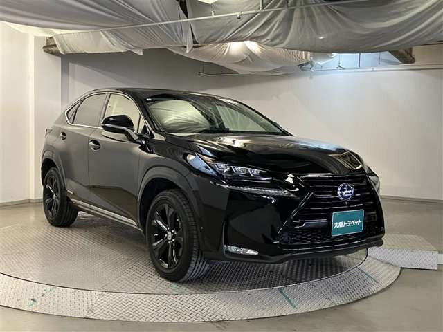 NX300h アーバンスタイル