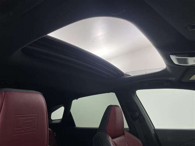 RX500h Fスポーツパフォーマンス 4WD