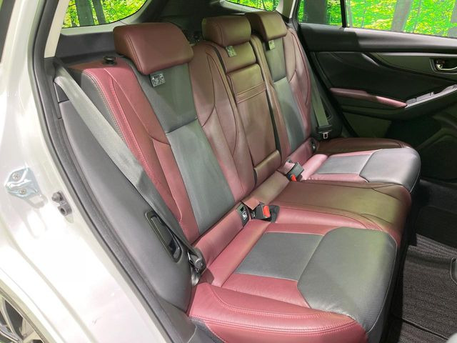 �㕔���Ȃ��C�ɂȂ�悤�ȃL�Y�E�����ւ��蓙�A�傫�ȃ_���[�W�͂Ȃ��A�ǍD�ȏ�Ԃł��B