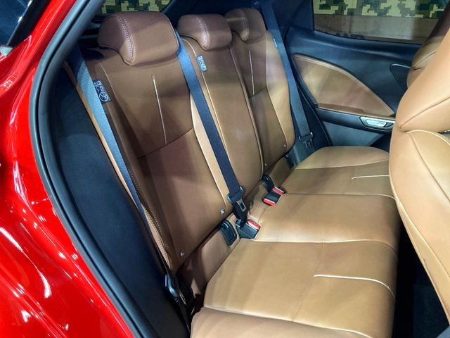 �㕔���Ȃ��C�ɂȂ�悤�ȃL�Y�E�����ւ��蓙�A�傫�ȃ_���[�W�͂Ȃ��A�ǍD�ȏ�Ԃł��B