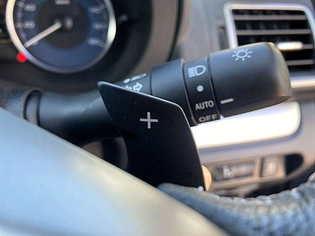 �I�[�g���C�g�A�p�h���V�t�g