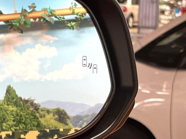 �y�u���C���h�X�|�b�g���j�^�[�z���s���A�h�A�~���[�̎��p�ɂȂ�₷���ӏ��Ɍ㑱�Ԃ��ڋ߂���ƃT�C�h�~���[�̃����Y�Ɍx����\��!�h���C�o�[�ɒ��ӊ��N�����Ă���܂��B