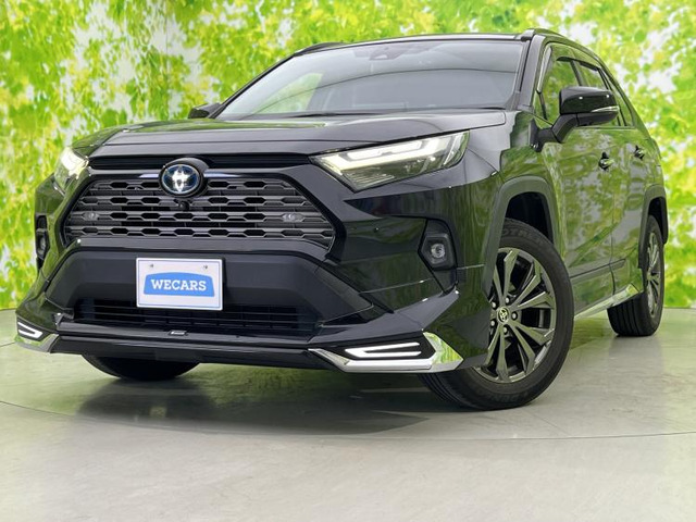 RAV42.5 ハイブリッド G E-Four 4WD