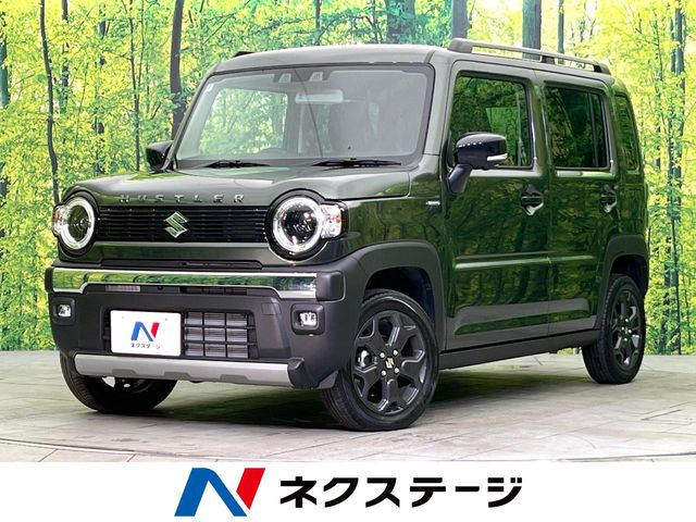 ハスラータフワイルド