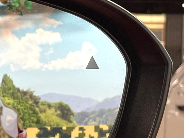 �y������p���m�z���s���A�h�A�~���[�̎��p�ɂȂ�₷���ӏ��Ɍ㑱�Ԃ��ڋ߂���ƃT�C�h�~���[�t�߂Ɍx����\���A�h���C�o�[�ɒ��ӊ��N�����Ă���܂��B