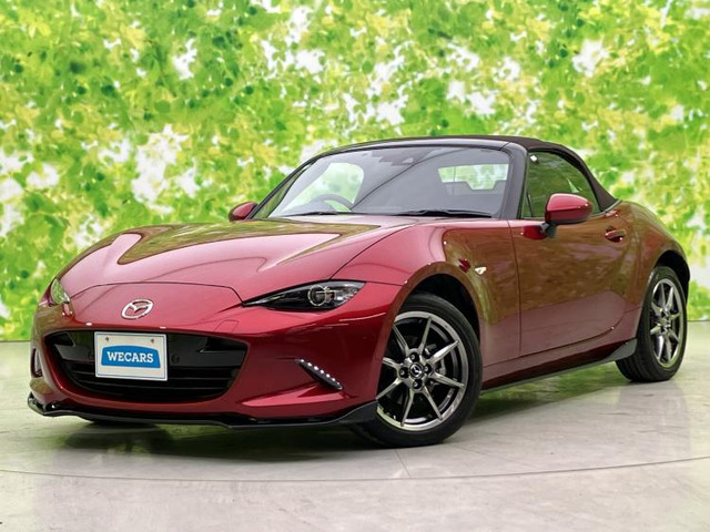 ロードスター1.5 ブラウン トップ