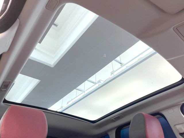 ���p�m���}�~�b�N�K���X���[�t:�唗�͂̃p�m���}���[�t�́A�㕔���Ȃɂ܂ő����Ă���A�J���I�ȋ�Ԃ����y���݂��������܂��B