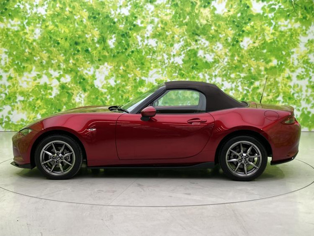 ロードスター1.5 ブラウン トップ