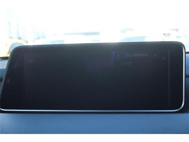 ��D�]�̃{�f�B�R�[�e�B���O�u�n�C���[�X�R�[�g�v�����[�Ԃ܂łɎ{�H�\�B�J���݂�����Ȃǒ��ÎԂ�����ƒ��߂Ă��܂���?�s�J�s�J�̏�Ԃł����o�����������܂��B