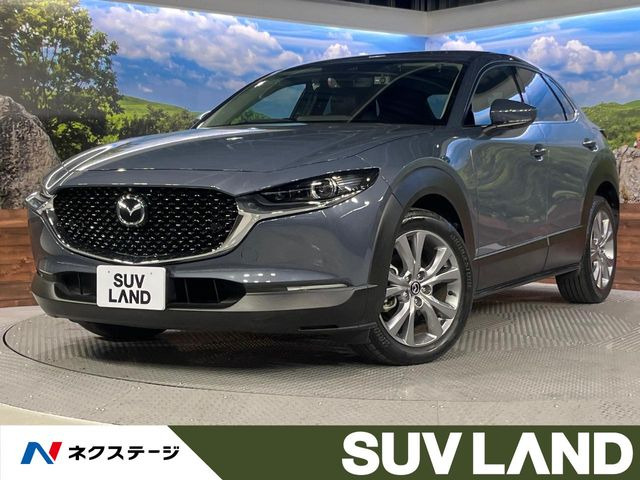 CX-301.8 XD Lパッケージ