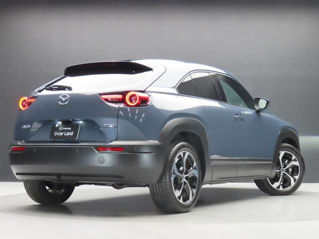 MX-302.0 ナチュラル モノトーン