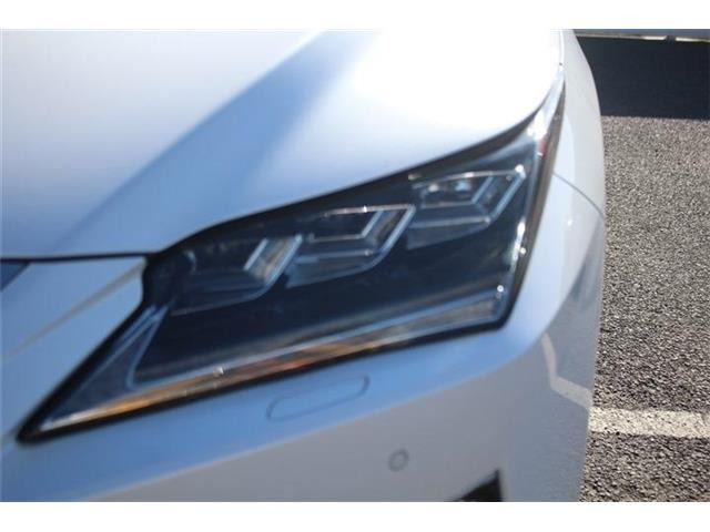 ���Ǝҗl�ւ̔̔��͂��f�肳���Ă��������܂��B �Ԍ������ԗ��̏ꍇ�́A�Ԍ����擾�������x�������z�ŕ\�����Ă���܂��B