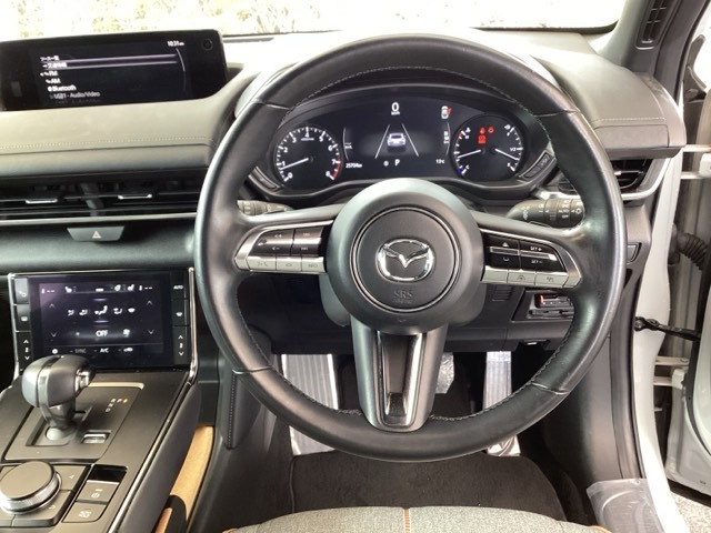 MX-302.0 モダン コンフィデンス