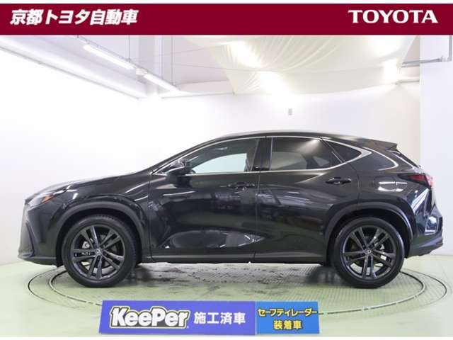 NX250 バージョンL