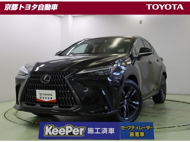 NX250 バージョンL