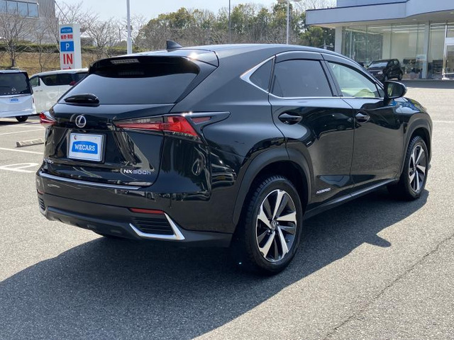 NX300h バージョンL