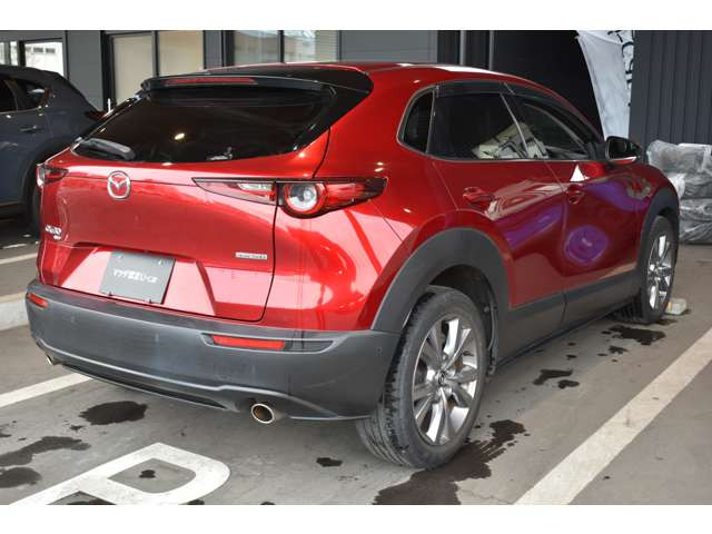 CX-302.0 20S プロアクティブ