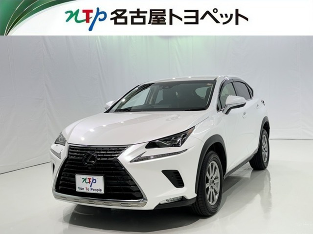 NX300 Iパッケージ