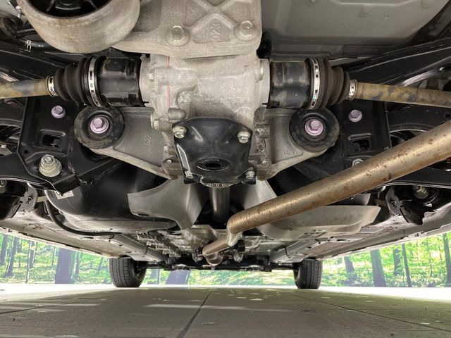 ����肪���ꂢ�Ȃ����ɁA�h�K���H�̎{�H���I�X�X���B�~��n��͂������A���ݕ��ɂ��Z���̕���A��Ń}�����E�E�B���^�[�X�|�[�c���������ɂ��D�]���������Ă���܂��B