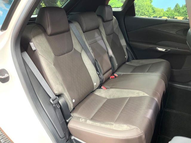 �㕔���Ȃ��C�ɂȂ�悤�ȃL�Y�E�����ւ��蓙�A�傫�ȃ_���[�W�͂Ȃ��A�ǍD�ȏ�Ԃł��B