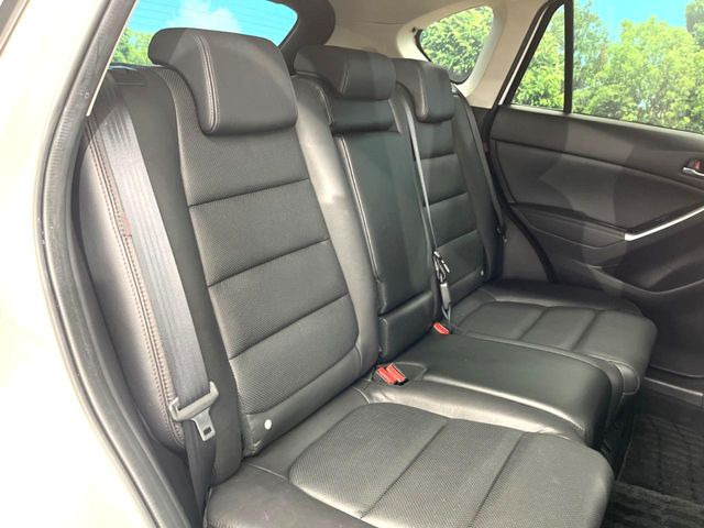 �㕔���Ȃ��C�ɂȂ�悤�ȃL�Y�E�����ւ��蓙�A�傫�ȃ_���[�W�͂Ȃ��A�ǍD�ȏ�Ԃł��B