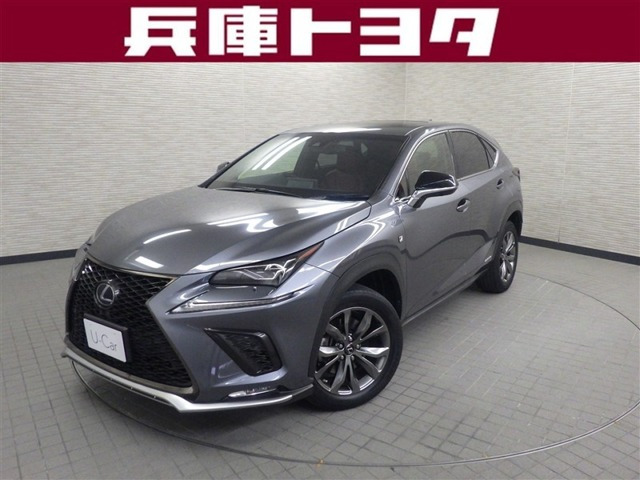 NX300h Fスポーツ