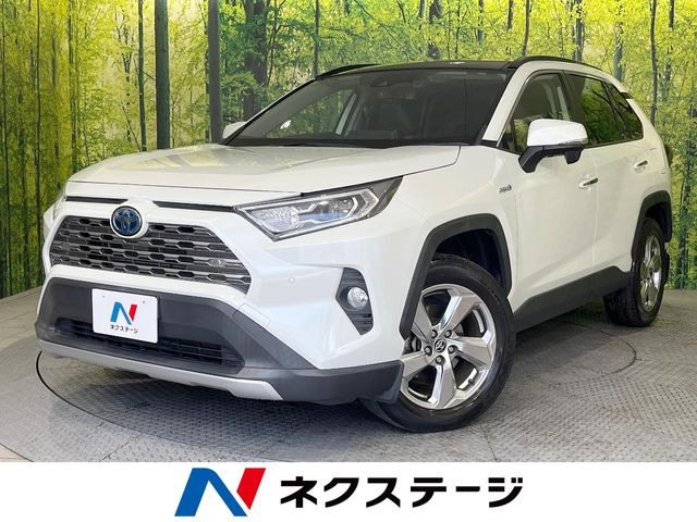 RAV42.5 ハイブリッド G E-Four 4WD