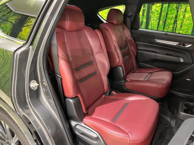 �㕔���Ȃ��C�ɂȂ�悤�ȃL�Y�E�����ւ��蓙�A�傫�ȃ_���[�W�͂Ȃ��A�ǍD�ȏ�Ԃł��B