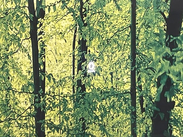 �y�J���[�w�b�h�A�b�v�f�B�X�v���C�z���݂̑��x�⑖�s�����f�W�^���\���ŉ^�]�ȑO���̃K���X�ɓ��e!�J���[�t���Ŏ��F���������A�^�]���ڐ������炳���K�v�ȏ����m�F�ł���̂łƂ��Ă��֗��ň��S!