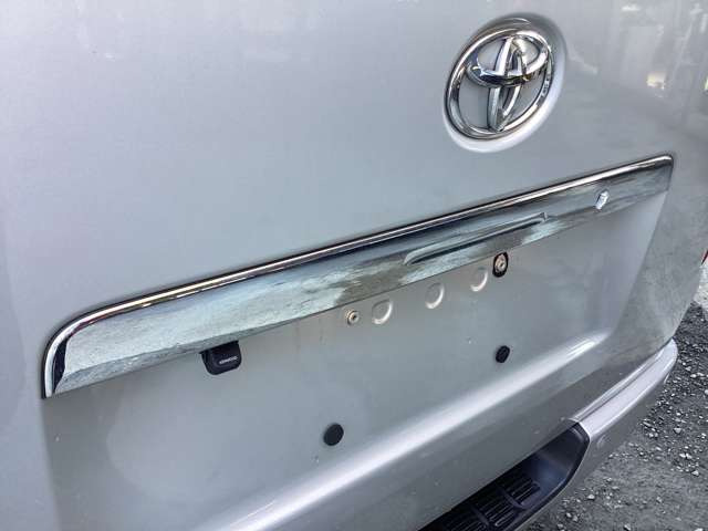 ���b�L���A�K�[�j�b�V��!