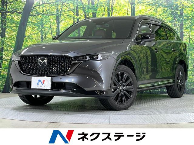 CX-8（マツダ）2.2 XD スポーツアピアランス 中古車画像