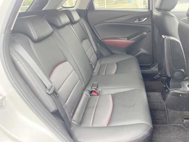 �㕔���Ȃ��C�ɂȂ�悤�ȃL�Y�E�����ւ��蓙�A�傫�ȃ_���[�W�͂Ȃ��A�ǍD�ȏ�Ԃł��B