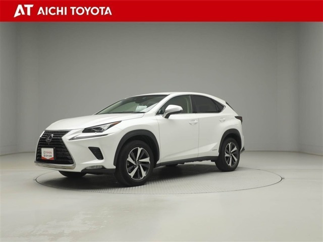 NX300h Iパッケージ