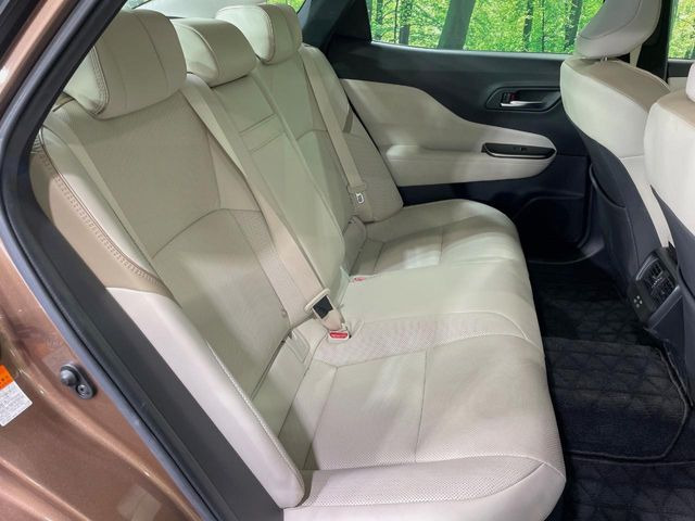 �㕔���Ȃ��C�ɂȂ�悤�ȃL�Y�E�����ւ��蓙�A�傫�ȃ_���[�W�͂Ȃ��A�ǍD�ȏ�Ԃł��B