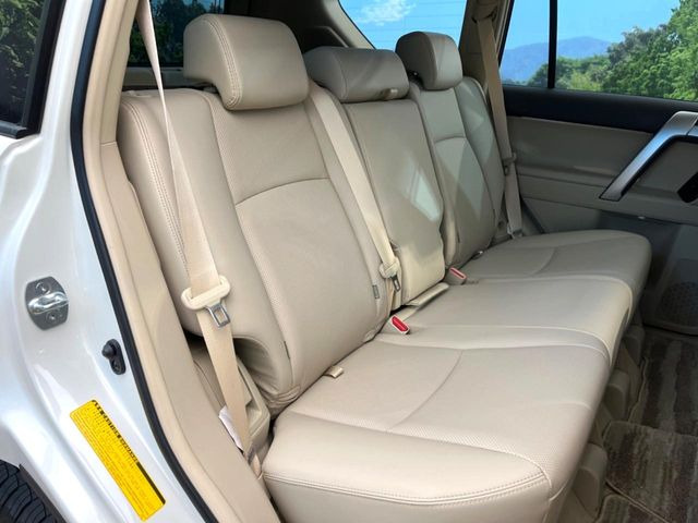 �㕔���Ȃ��C�ɂȂ�悤�ȃL�Y�E�����ւ��蓙�A�傫�ȃ_���[�W�͂Ȃ��A�ǍD�ȏ�Ԃł��B