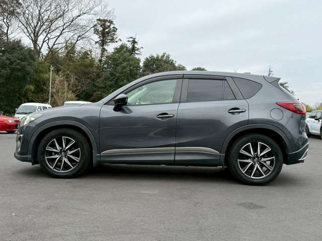 ���X�݌ɂ͊O���A�����N���[�j���O��ɓW�����A�����Ď��̏C�����̗L���A���[�^�[��������̗L������O�ҋ@�ւɂ�錟����S����{���Ă���܂��B�Ԍ��A�����A����h�������ЂőΉ��ł��܂��̂ł����S���������B