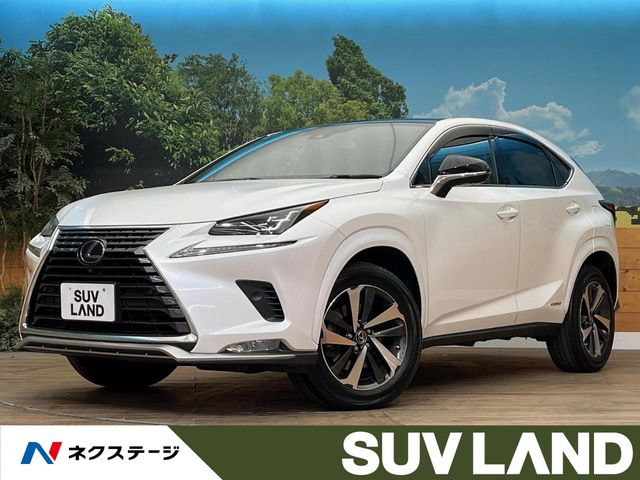 NX（レクサス）300h スパイス&amp;シック 中古車画像