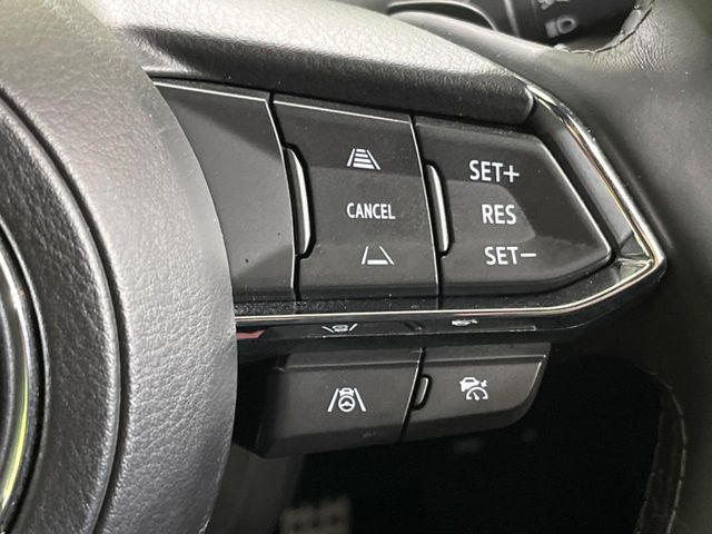 �y�}�c�_�E���[�_�[�N���[�Y�R���g���[���z�������H�ł̒��������s���y��!�����ő��x��ۂN���[�Y�R���g���[�����A�Փˌy���V�X�e���ƘA�g���A�O���̎ԗ������m���ĎԊԂ�ۂ悤�ɑ��x���߂��Ă���܂�!!