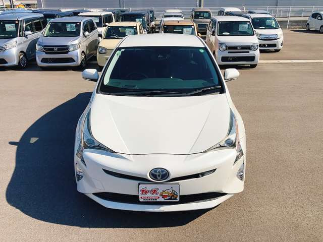 WEB�ETEL���k�s�Ȃ��Ă���܂�!�����X���������Ȃ��Ă����k�E���w���\�ł�!���C�y�ɓX���ւ��⍇������������