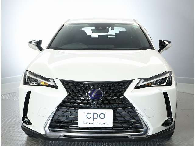 UX250h バージョンC