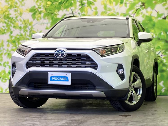 RAV42.5 ハイブリッド G E-Four 4WD