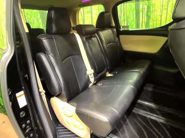 �㕔���Ȃ��C�ɂȂ�悤�ȃL�Y�E�����ւ��蓙�A�傫�ȃ_���[�W�͂Ȃ��A�ǍD�ȏ�Ԃł��B